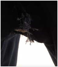 劣質(zhì)保潔工作服腋下開(kāi)線(xiàn)案例